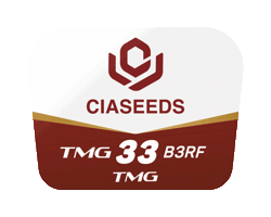 Tmg Sticker by Ciaseeds