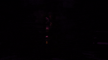 Vampire Dracula GIF by segalcentre