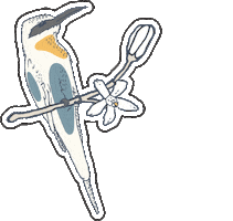 Bird Spring Sticker by YOOLETTA