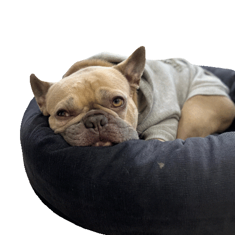 Vyews Marketing Inc Sticker