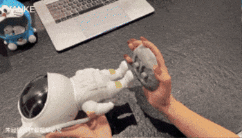 Animated GIF