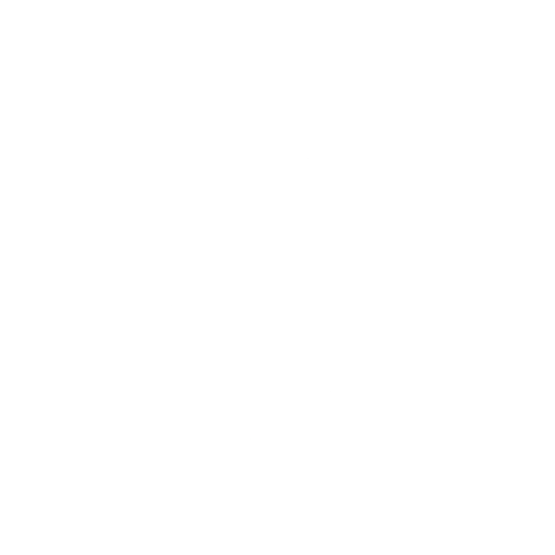 Realdrive Tech Sticker