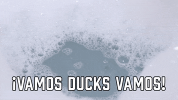 Anaheim Ducks GIF by Sealed With A GIF