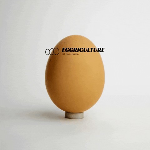 Eggriculture GIF