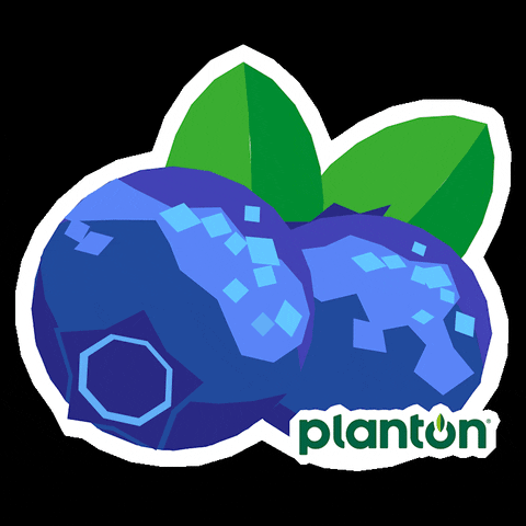 Plant Based Vegan GIF by planton