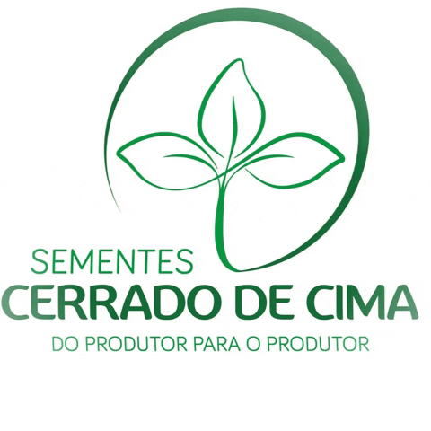 cerradodecima GIF