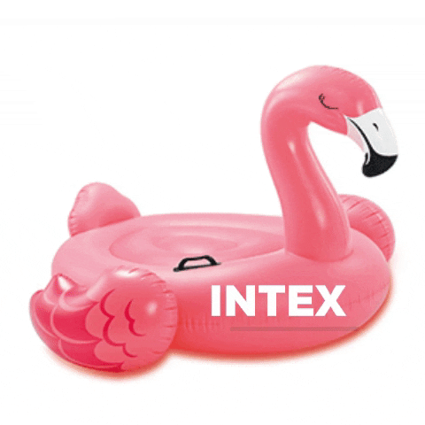 Flamingo GIF by intex