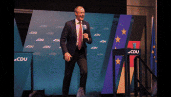 Friedrich Merz Union GIF