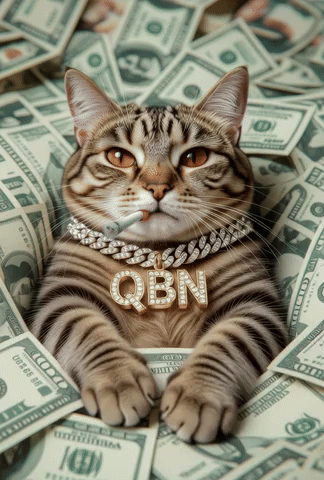 Money Cat GIF