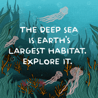 Happy World Ocean Day Gifs Get The Best Gif On Giphy Happy World Ocean Day Gifs Get The Best Gif On Giphy