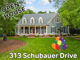 The  Janice Rosenberg Team GIF