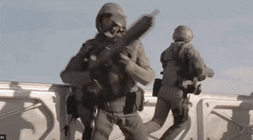 Programming Bugs GIF