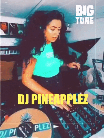 DJPineapplez dj mixer tune decks GIF