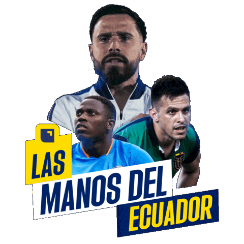 Ecuador Finanzas Sticker by Banco Pichincha