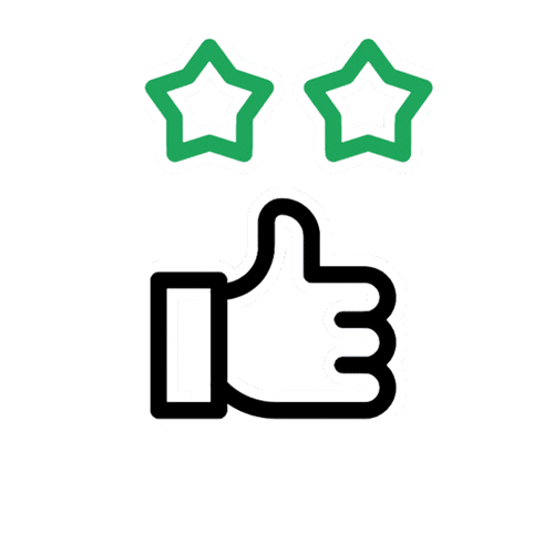 pinhal madeiras Sticker