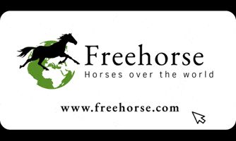 Horses Cheval GIF by Freehorse