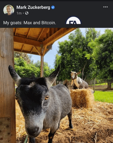 Mark Zuckerberg Goat GIF by Forallcrypto
