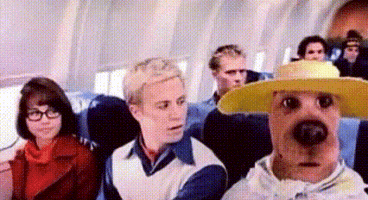 Scooby Doo Netflix GIF