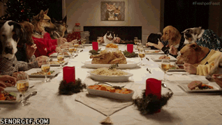Christmas Dinner GIF - Find & Share on GIPHY