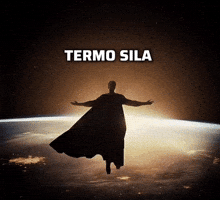 Termo GIF