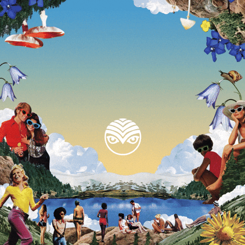 Shambhalahumanresources GIF by Shambhala Music Festival