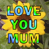 Love You Mom Gifs Get The Best Gif On Giphy Love You Mom Gifs Get The Best Gif On Giphy
