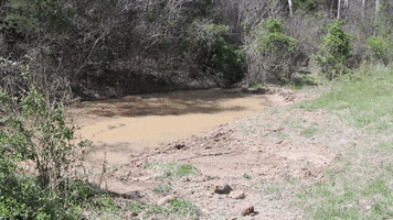 River Grading GIF by JC Property Professionals