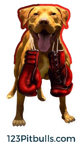 Pitbull Apbt Sticker by Chico Lopez