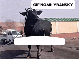 Uzbek GIF