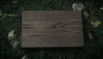 https://media4.giphy.com/media/wXR7x0iPbYRy/200.gif#54