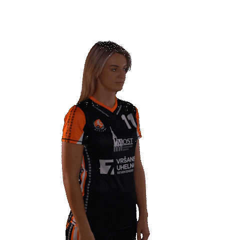 Handball Andy Sticker by DHK Baník Most - Černí andělé