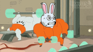 Meme GIF