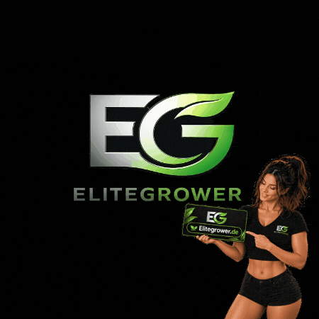 Sat 1 Usa GIF by EliteGrower