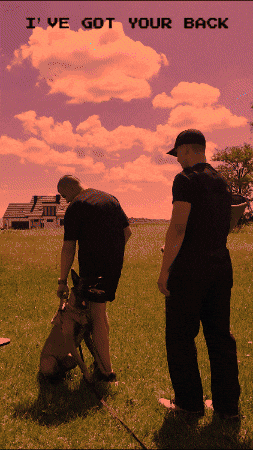 Dog Puppy GIF