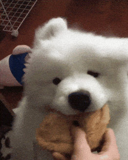 Adorable GIF
