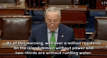 Chuck Schumer Fiona GIF by GIPHY News
