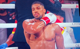 Boxing Win GIF