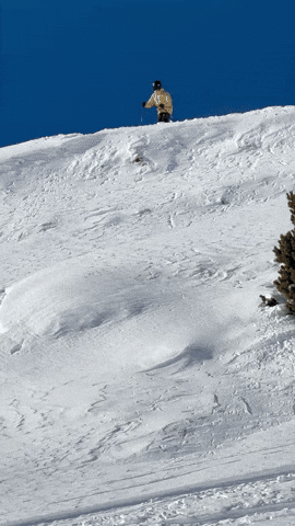 Richirck GIF