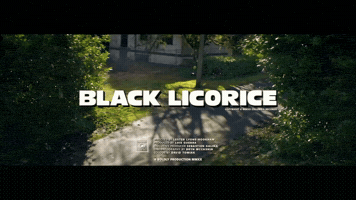 Black Licorice Title GIF by Peach Pit