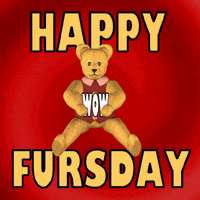 Happy Thursday GIF