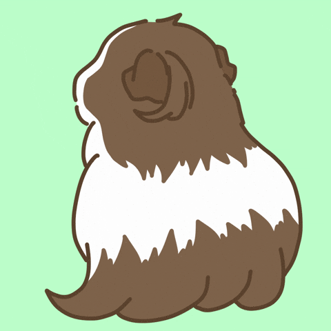 Hair Licht GIF