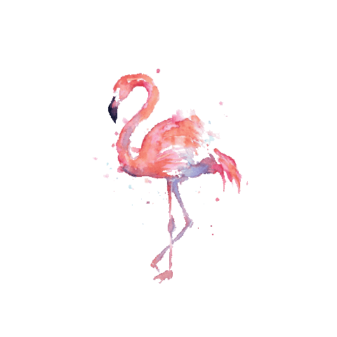 CoastalKitchen Sticker