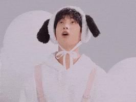 Dk 세븐틴 GIF