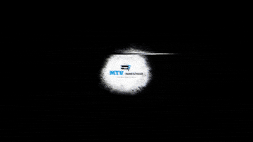 MTV Fahrschule GIF