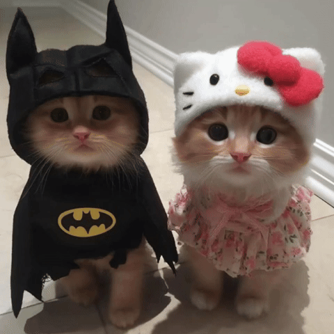 Hello Kitty Love GIF