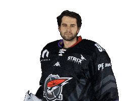 Šíp Sticker by Piráti Chomutov