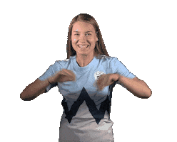 NZS | FA Slovenia Sticker