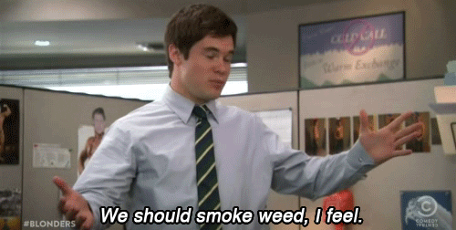 Dont-smoke-weed GIFs - Get the best GIF on GIPHY