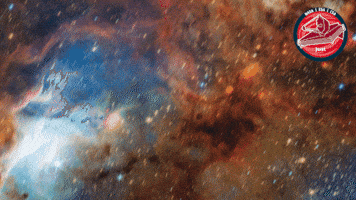 James Webb Celebration GIF by ESA Webb Space Telescope