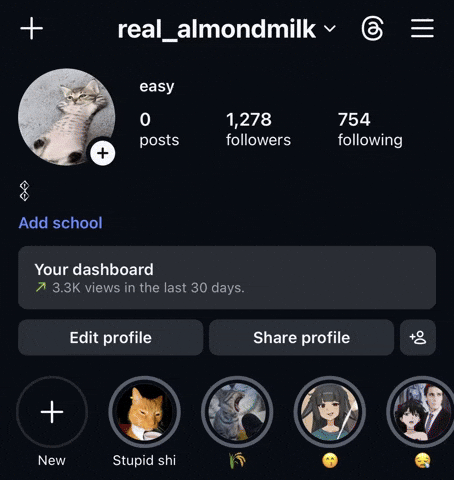 Cat Promo GIF by eay